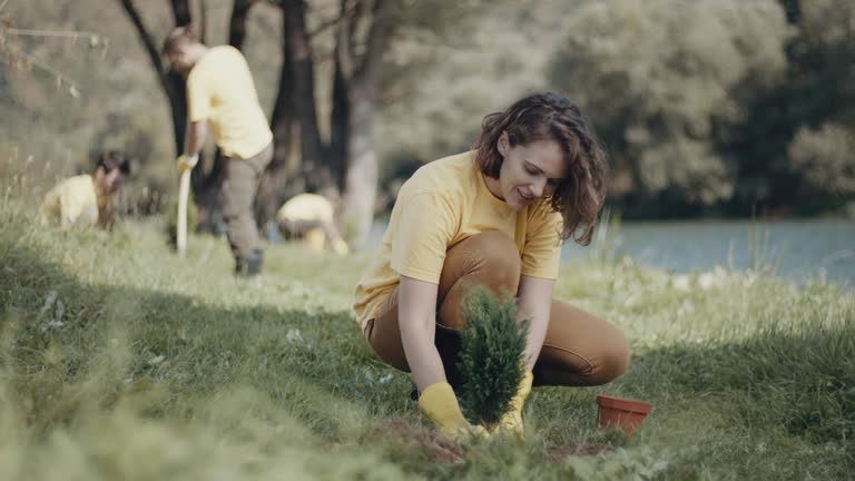 Best Grass Overseeding  in Altoona, WI