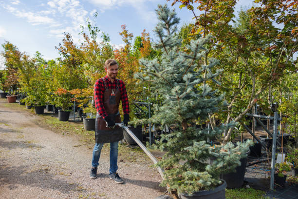 Best Soil Testing and Treatment  in Altoona, WI